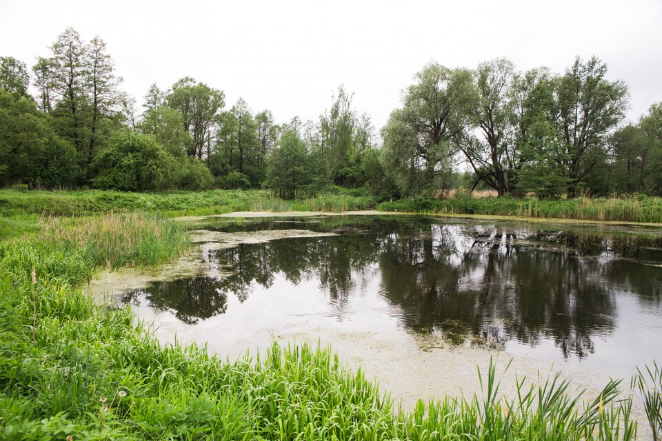 detention ponds details